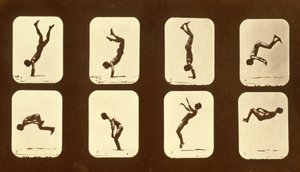 アスリート。 「Animal Locomotion」シリーズの不規則な作品、1881年頃 作： Eadweard Muybridge